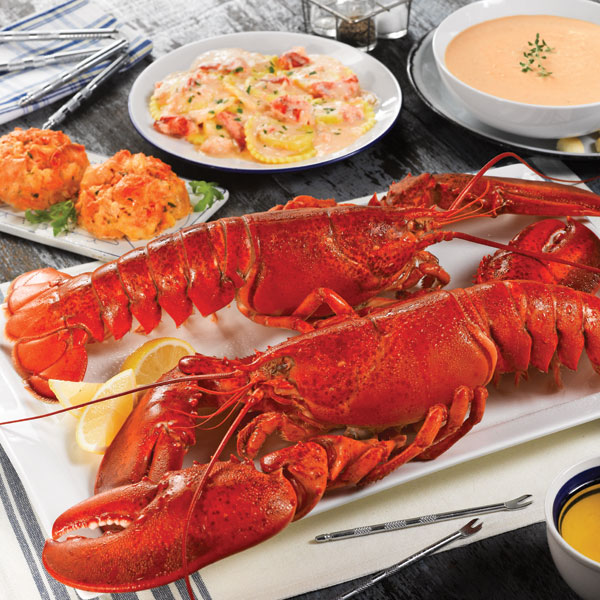 Lobsterpalooza! Live Maine Lobster Dinner Gift Package